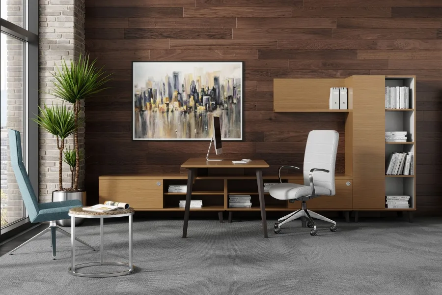 Executive office with wooden desk and storage
